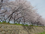 DSC03866.JPG