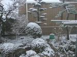 DSC00318.JPG