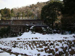 DSC00398.JPG