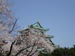 DSC00472.JPG