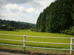 DSC00519.JPG