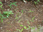 DSC00545.JPG