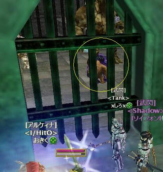 ori1.JPG