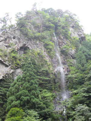IMG_4832.JPG