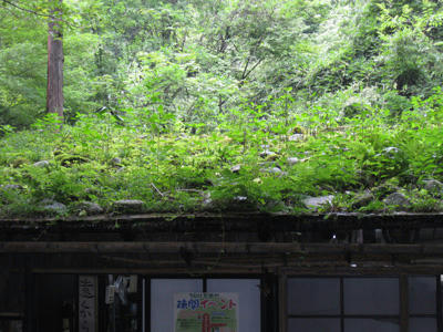 IMG_4830.JPG