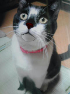 20111024jpg.jpg