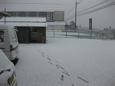 IMG_7729.jpg