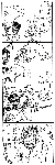 e486d4b8.gif
