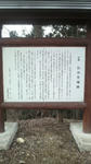 20100403_4.jpg