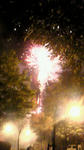 201008062029000.jpg