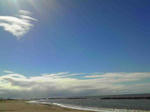 NEC_0061.jpg