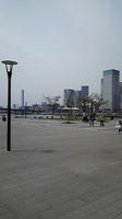 8261765f.jpg