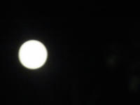 6f255c6f.jpg