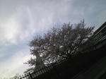 SBSH0128.JPG