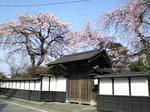 SBSH01741.JPG