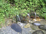 090913-1.jpg