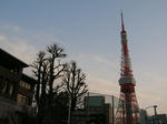 DSCN8459.JPG
