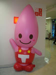 DSCN8454.JPG