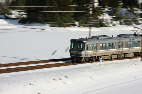 IMG_9822.jpg