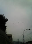 200801071353000.jpg