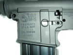 RIMG0004R.jpg