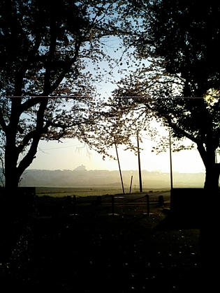 CA250545.jpg