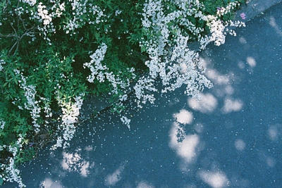 20110710.jpg