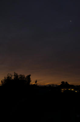 121111_01.jpg