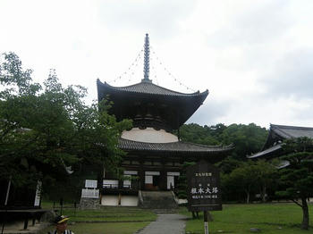 tn_P7050207.JPG
