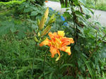 DSCF1662.JPG