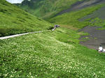 DSCF1715.JPG