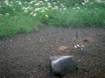 DSC00286.JPG