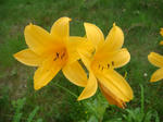 DSC00293.JPG