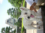 DSC00306.JPG