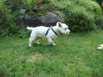 DSC00313.JPG