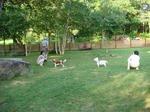 DSC00314.JPG