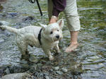 DSC00327.JPG