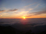 DSC00393.JPG