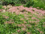 DSC00366.JPG