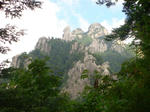 DSC00435.JPG