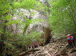 DSC00438.JPG