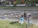 DSC00478.JPG