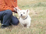 DSC00505.JPG