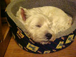 DSC00524.JPG