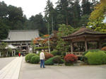 DSC00531.JPG