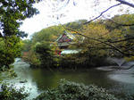 DVC00022.JPG