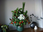 DSC00630.JPG