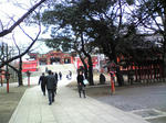 DVC00030.JPG