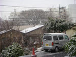 DSC00661.JPG