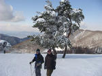 DSC00663.JPG
